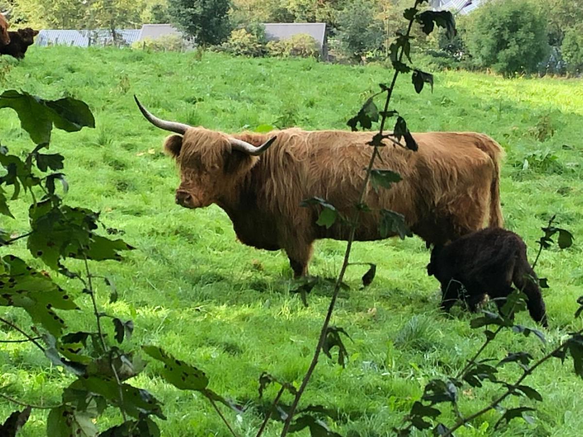 Schoene Aussicht Sauerland By Koelbel Familienurlaub Mit Hund Schmallenberg Zewnętrze zdjęcie